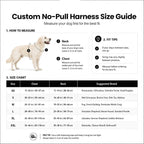 The Custom No-Pull Harness