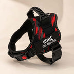 The Custom No-Pull Harness