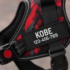 The Custom No-Pull Harness