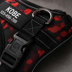 The Custom No-Pull Harness