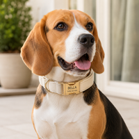 The Custom Velvet ID Collar
