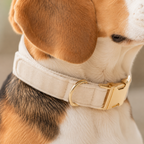 The Custom Velvet ID Collar