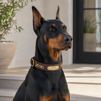 The Custom Leather ID Collar