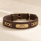 The Custom Leather ID Collar