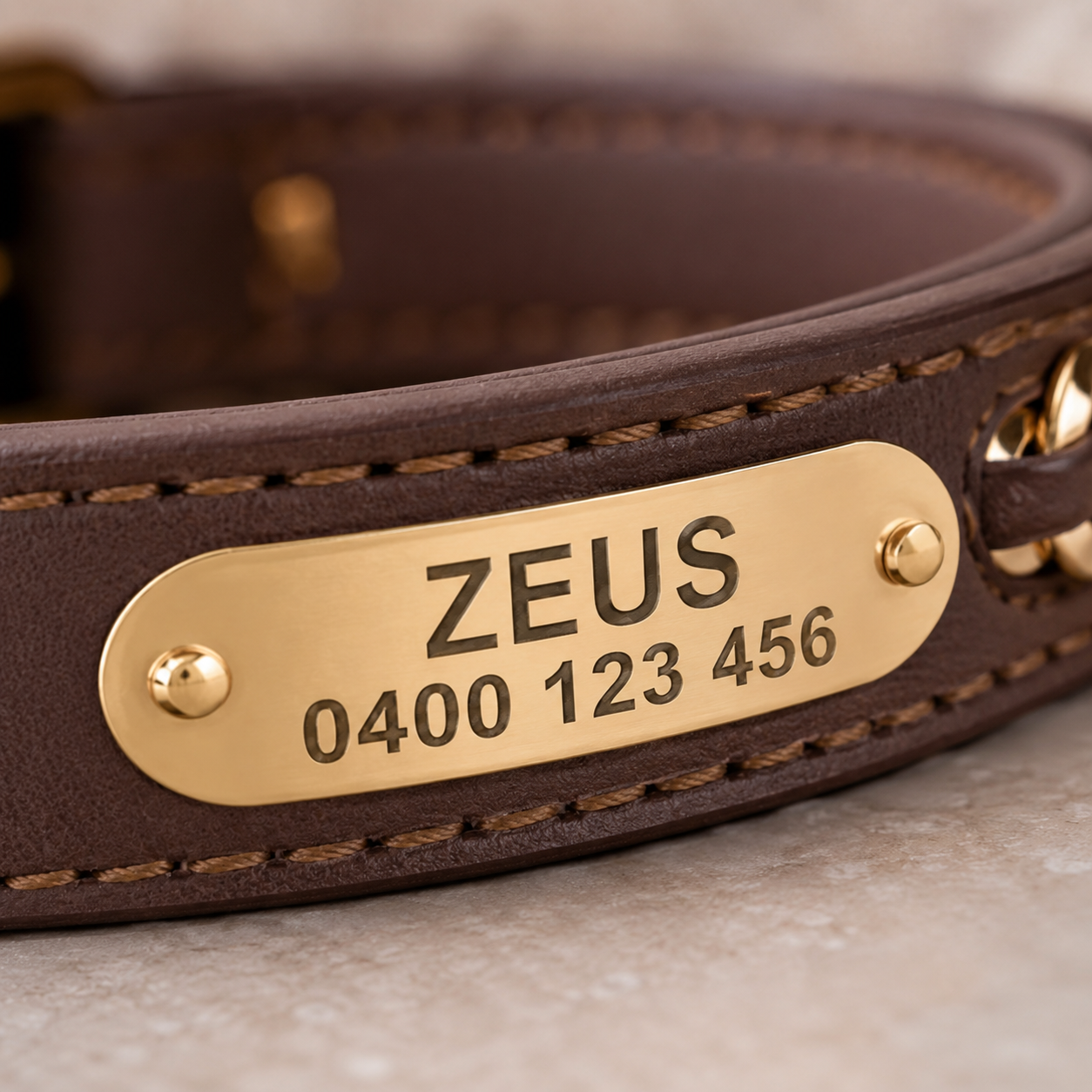 The Custom Leather ID Collar