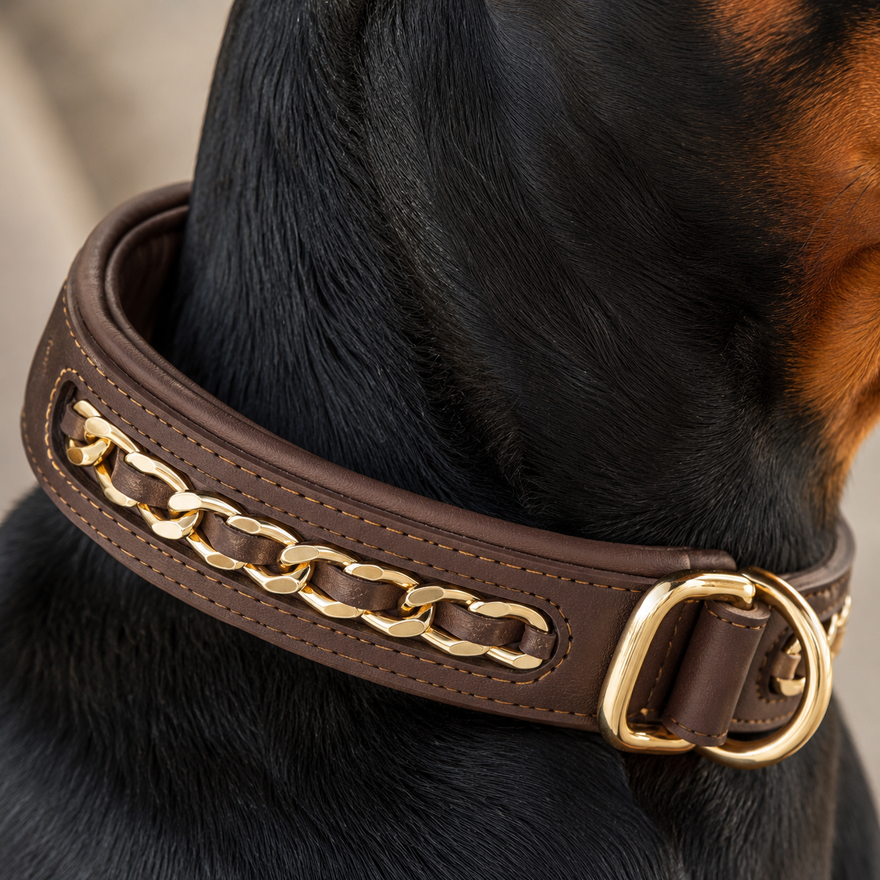 The Custom Leather ID Collar