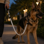 The Tactical Bungee Leash