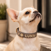 The Custom Name Collar