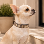 The Custom Name Collar