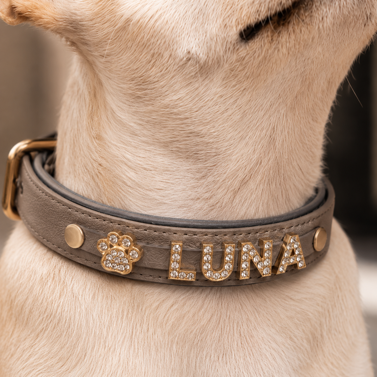 The Custom Name Collar