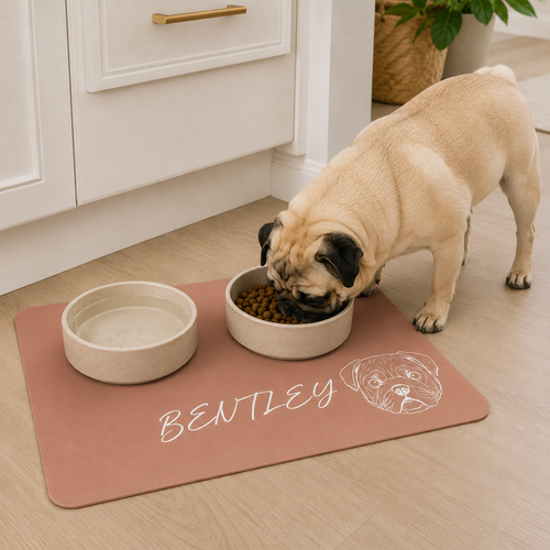 The Custom Name Feeding Mat