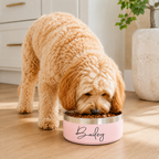 The Custom Name Stainless Bowl
