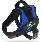 The Custom No-Pull Harness