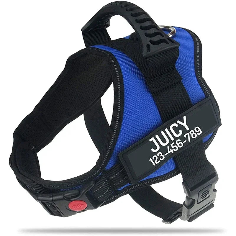 The Custom No-Pull Harness