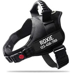 The Custom No-Pull Harness