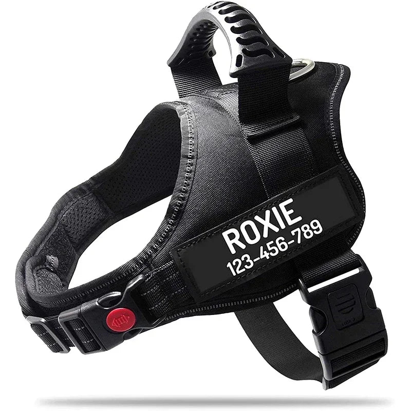 The Custom No-Pull Harness