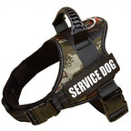 The Custom No-Pull Harness