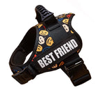 The Custom No-Pull Harness