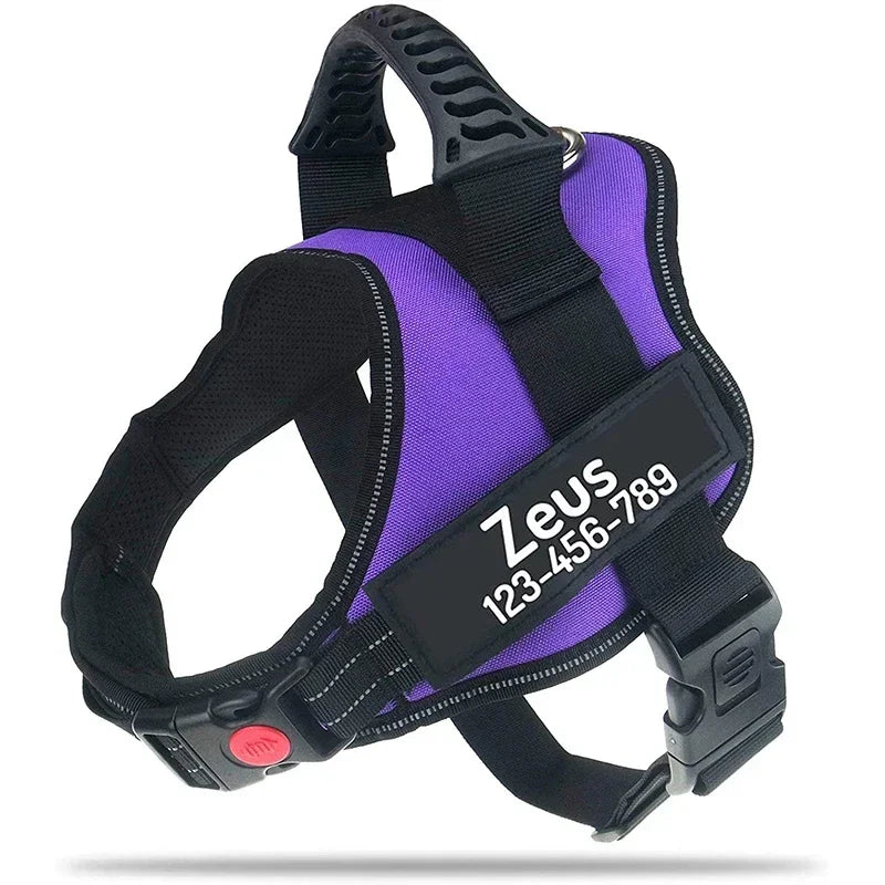 The Custom No-Pull Harness