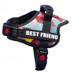 The Custom No-Pull Harness