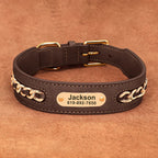 The Custom Leather ID Collar