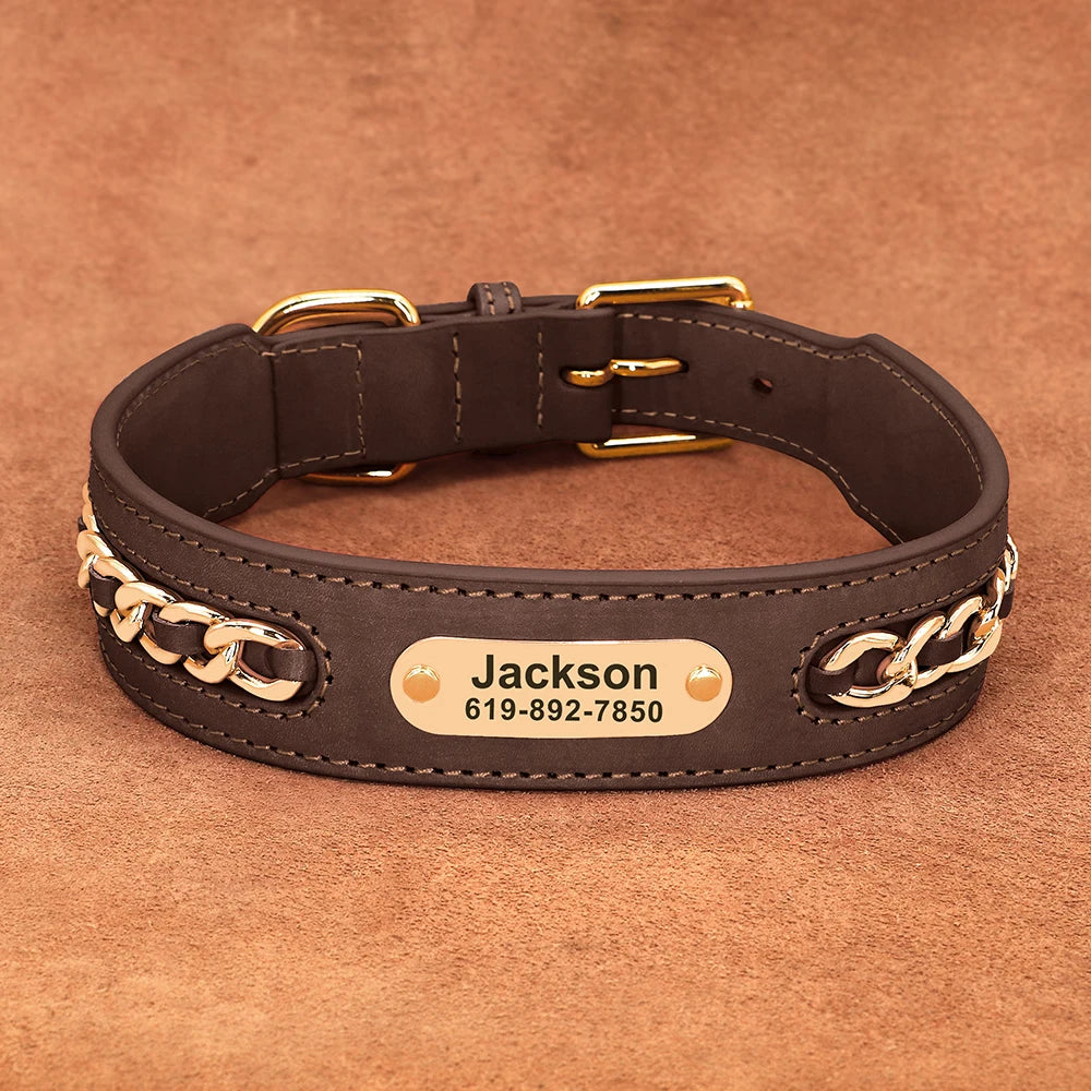 The Custom Leather ID Collar