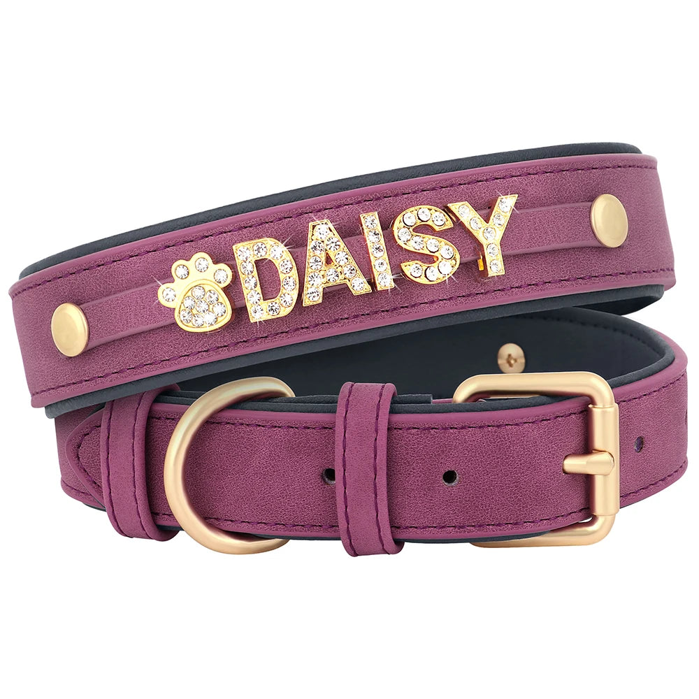 The Custom Name Collar