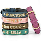 The Custom Name Collar