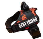 The Custom No-Pull Harness