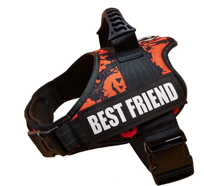 The Custom No-Pull Harness