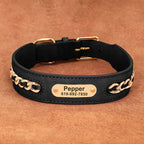 The Custom Leather ID Collar