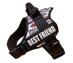 The Custom No-Pull Harness