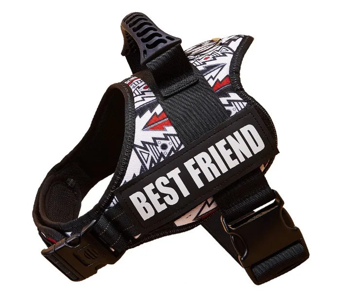 The Custom No-Pull Harness