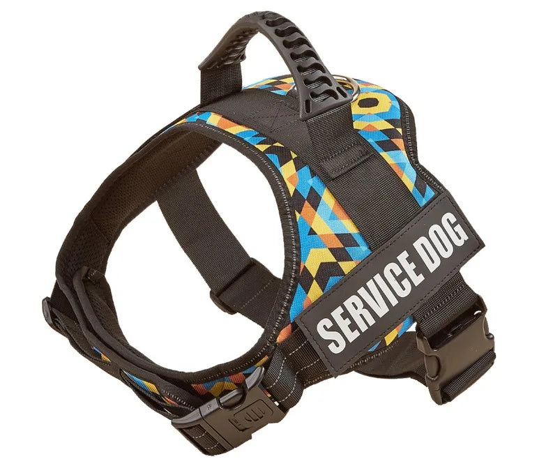 The Custom No-Pull Harness