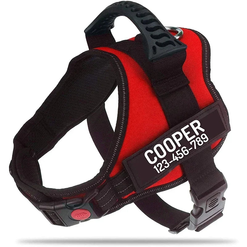 The Custom No-Pull Harness