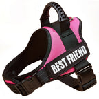 The Custom No-Pull Harness