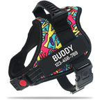 The Custom No-Pull Harness