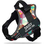 The Custom No-Pull Harness