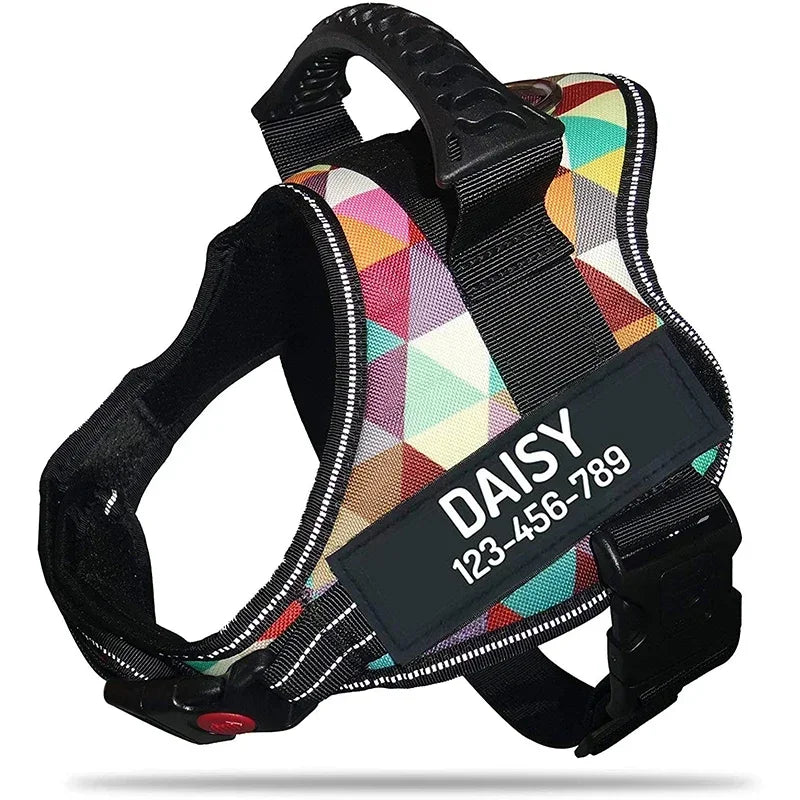 The Custom No-Pull Harness