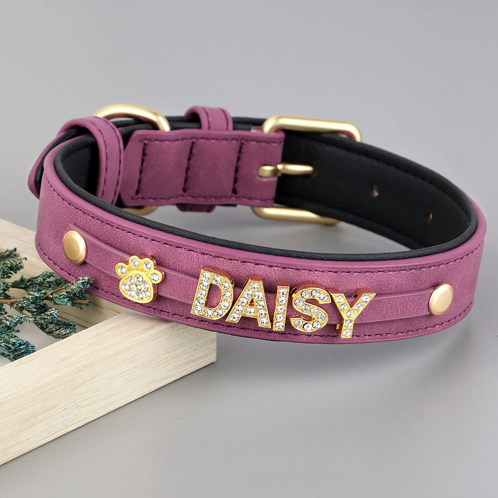 The Custom Name Collar