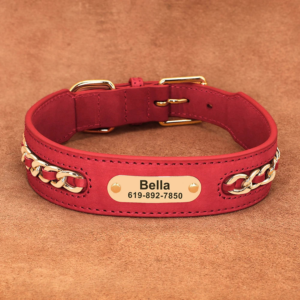 The Custom Leather ID Collar