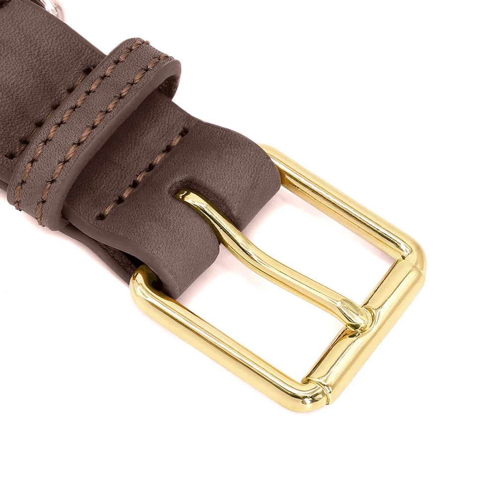 The Custom Leather ID Collar