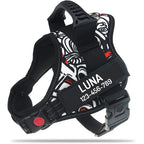 The Custom No-Pull Harness