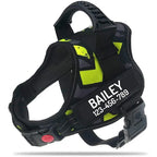 The Custom No-Pull Harness