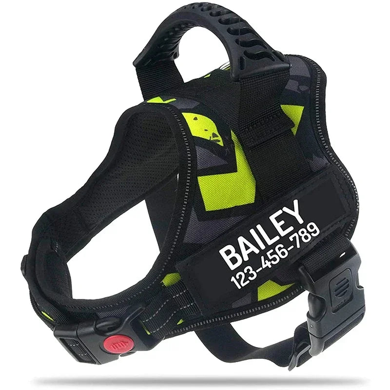The Custom No-Pull Harness