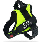 The Custom No-Pull Harness