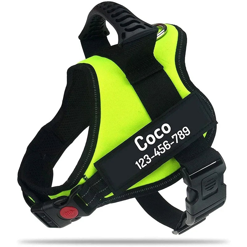The Custom No-Pull Harness
