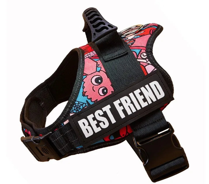 The Custom No-Pull Harness
