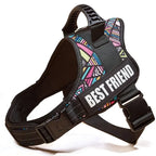 The Custom No-Pull Harness