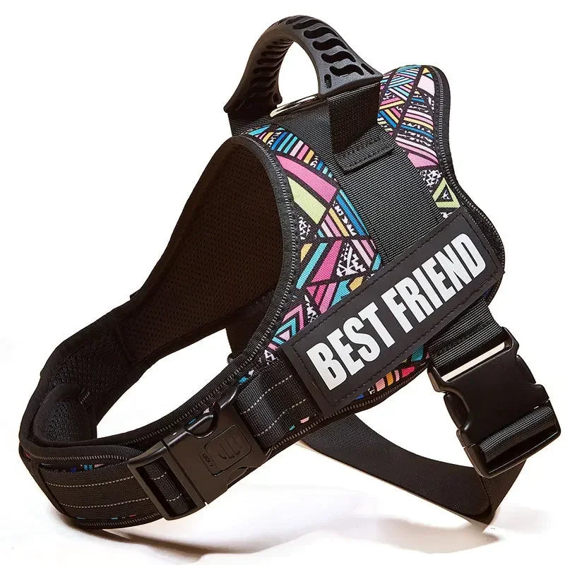 The Custom No-Pull Harness